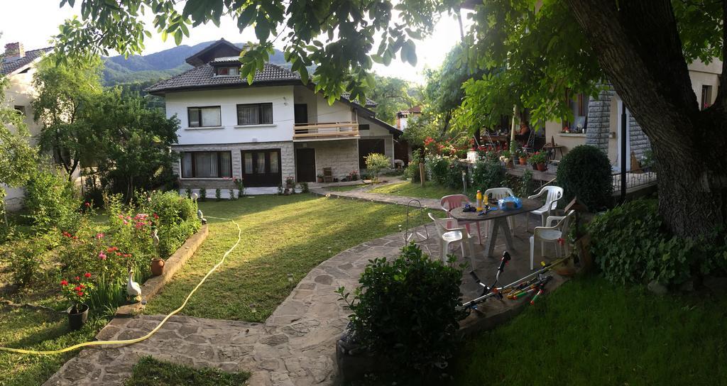 Luylyana Guesthouse Ribaritsa Exterior foto
