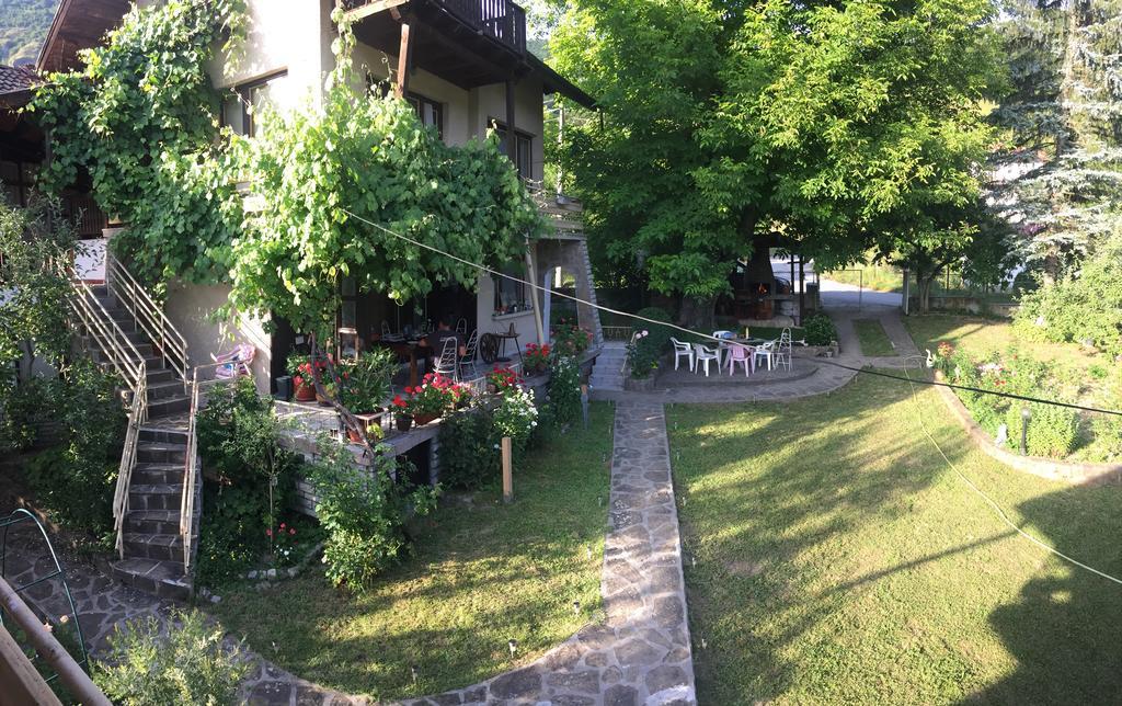 Luylyana Guesthouse Ribaritsa Exterior foto