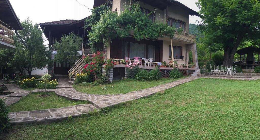 Luylyana Guesthouse Ribaritsa Exterior foto