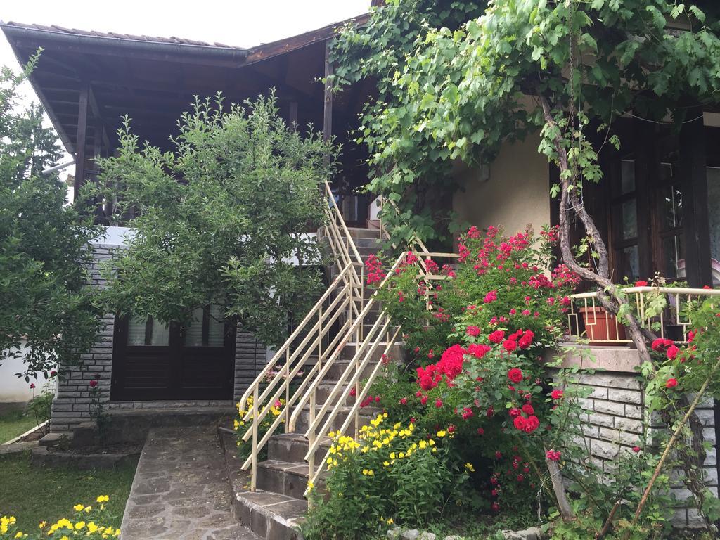Luylyana Guesthouse Ribaritsa Exterior foto