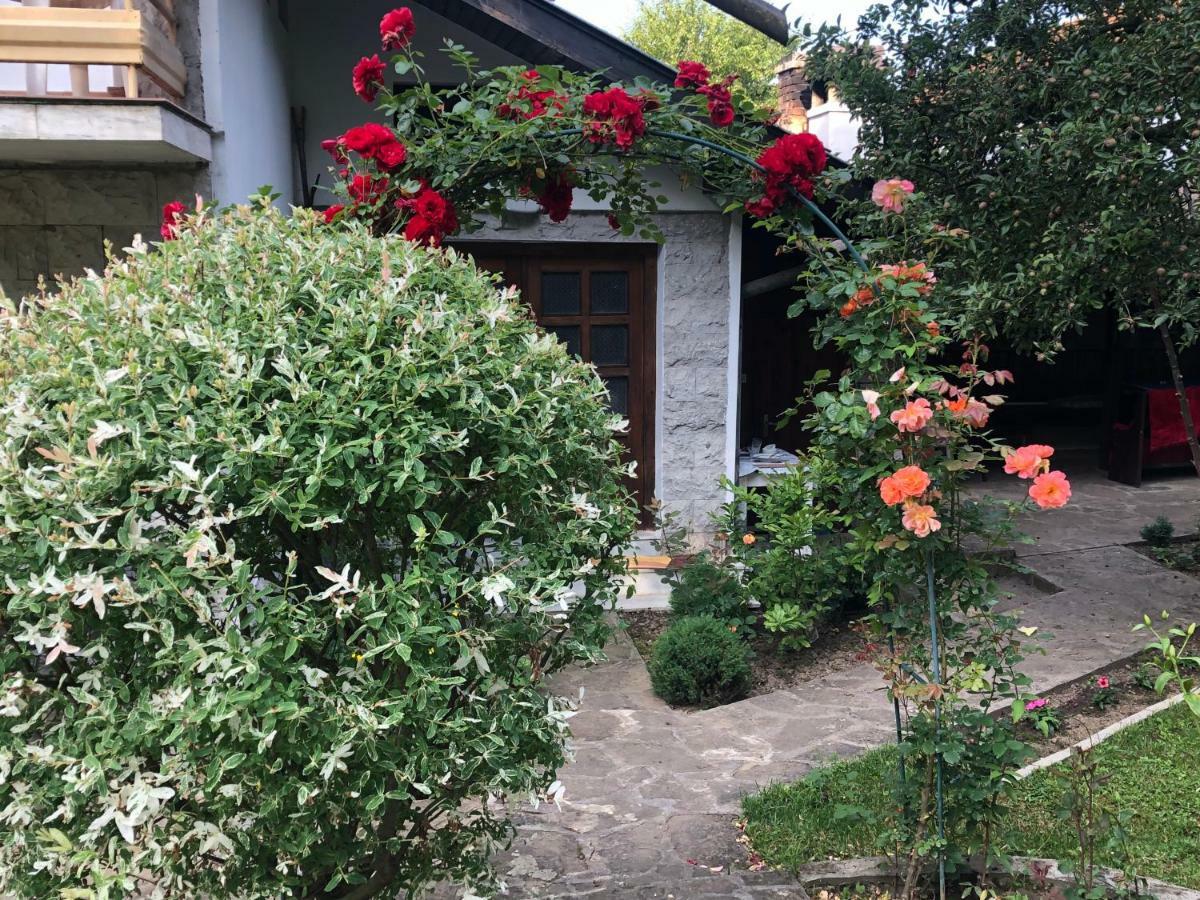 Luylyana Guesthouse Ribaritsa Exterior foto