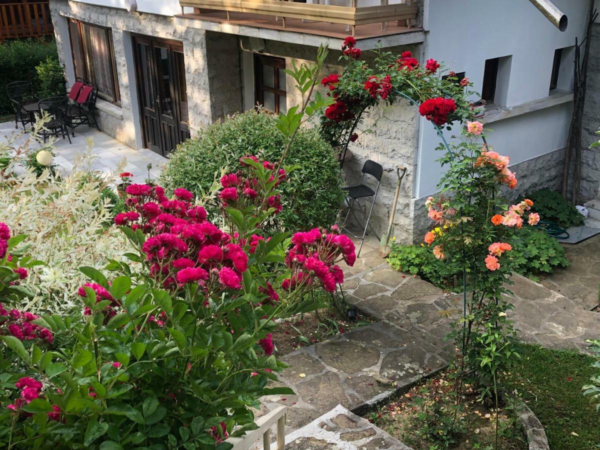 Luylyana Guesthouse Ribaritsa Exterior foto