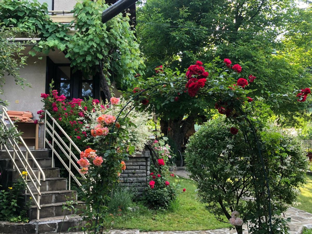 Luylyana Guesthouse Ribaritsa Exterior foto